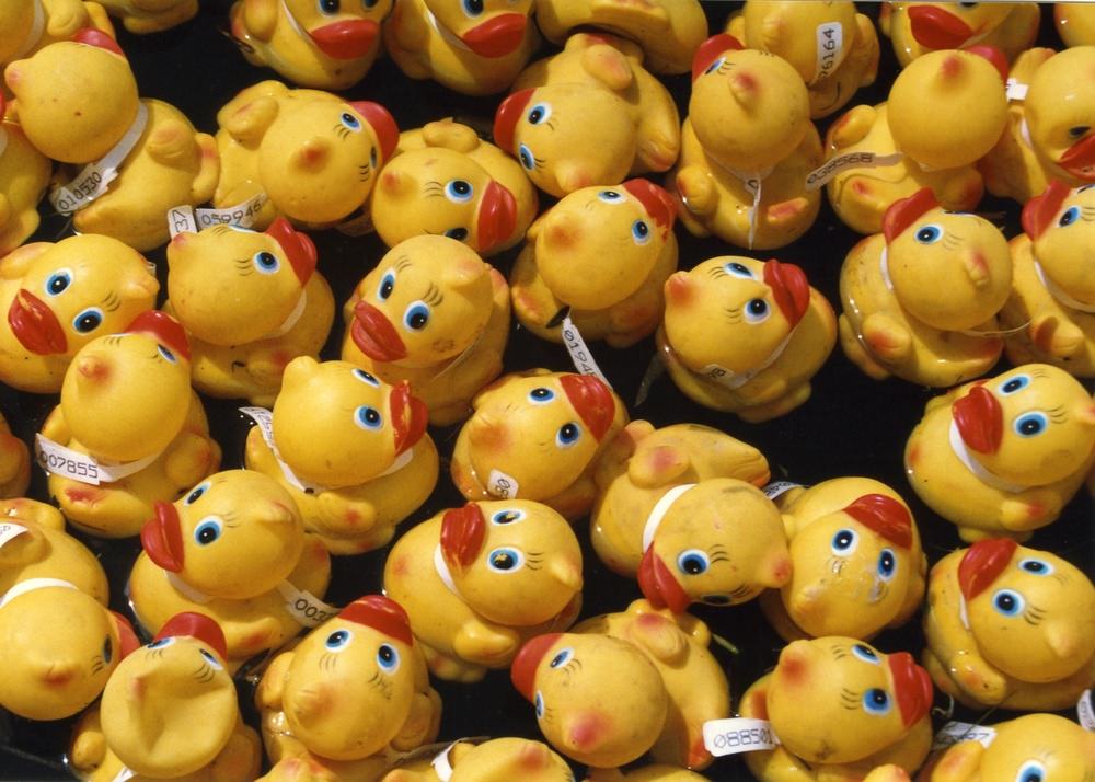 12th Annual Berkeley Heights Rubber Ducky Festival