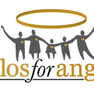 new jersey angels